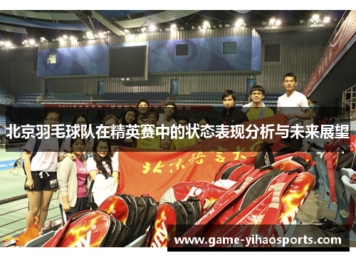 北京羽毛球队在精英赛中的状态表现分析与未来展望