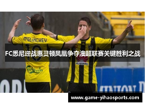 FC悉尼迎战惠灵顿凤凰争夺澳超联赛关键胜利之战